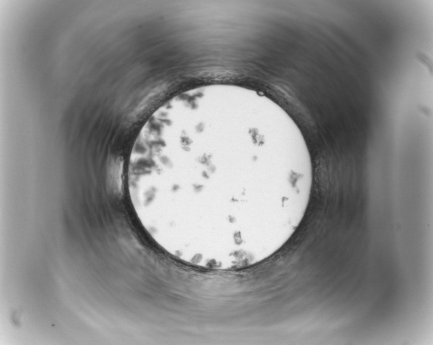 X0000100230024200806271800