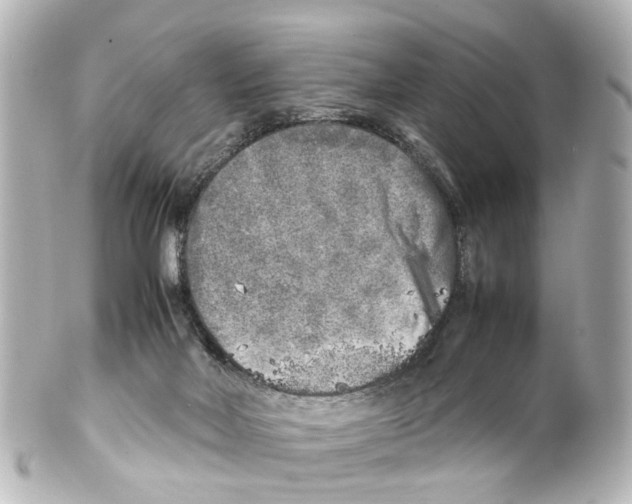 X0000100230026200806271800