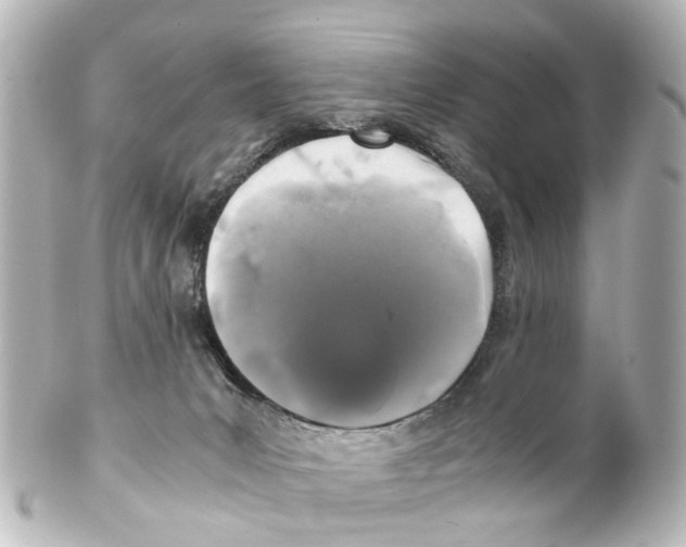 X0000100230031200806271800