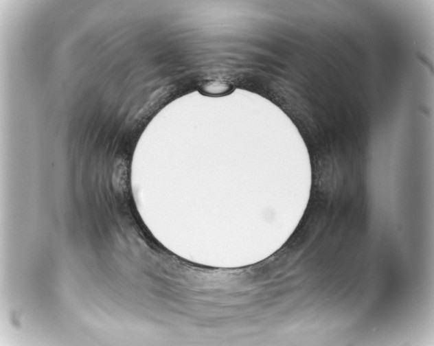 X0000100230036200806271800