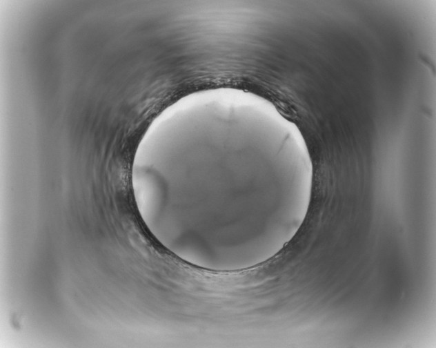 X0000100230039200806271800