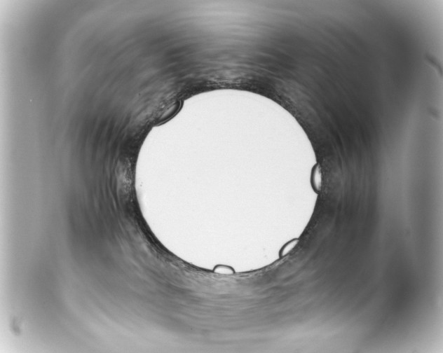 X0000100230040200806271800