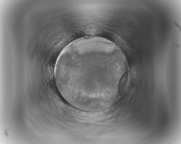 X0000100230043200806271800