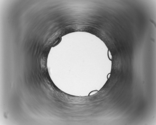 X0000100230044200806271800