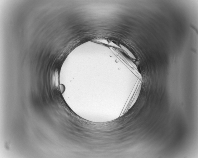 X0000100230046200806271800