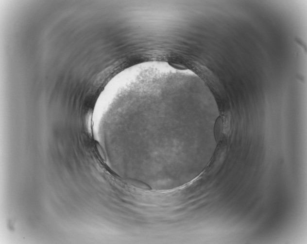X0000100230047200806271800