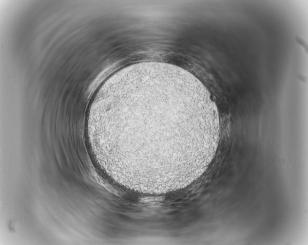 X0000100230051200806271759