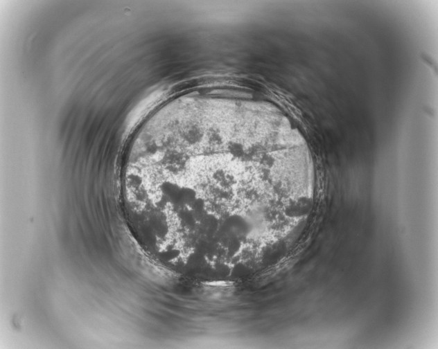 X0000100230053200806271759