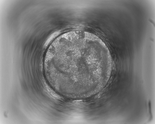 X0000100230054200806271759