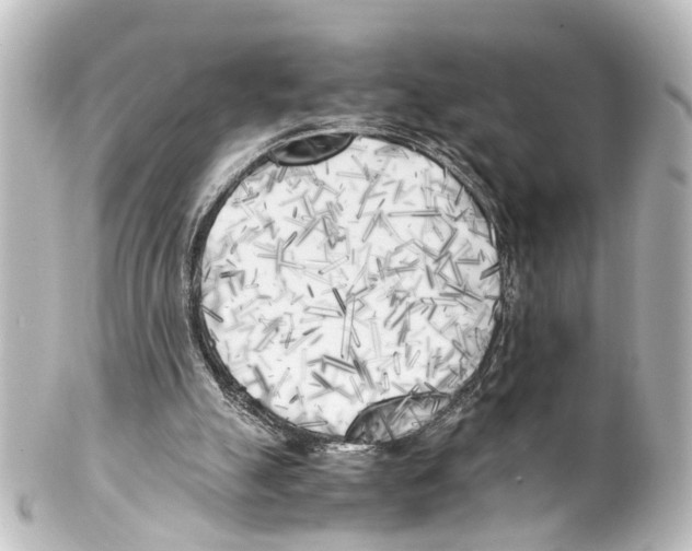 X0000100230055200806271759