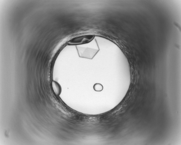 X0000100230056200806271759