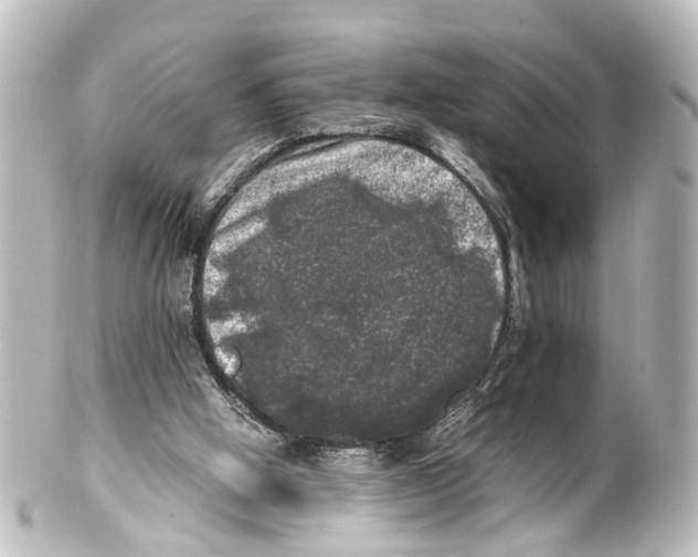 X0000100230058200806271759