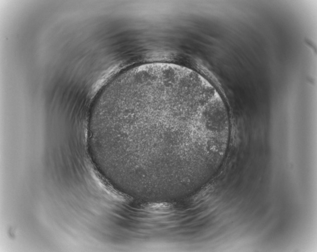X0000100230059200806271759