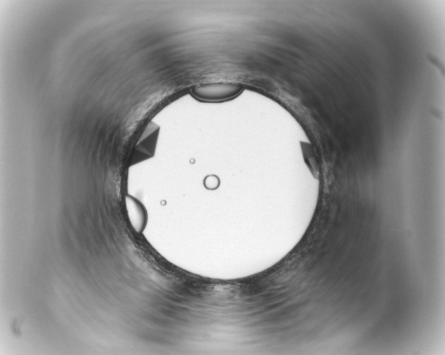 X0000100230060200806271759
