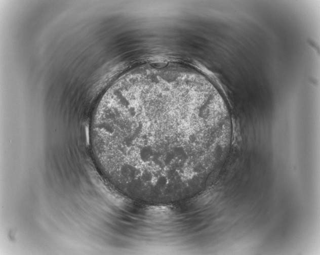 X0000100230061200806271759