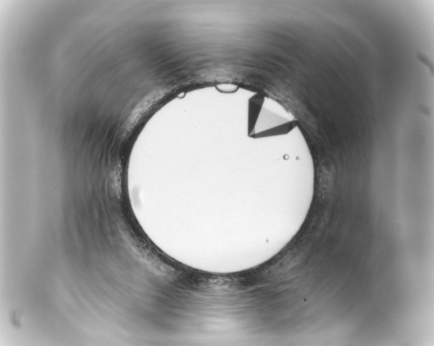X0000100230064200806271759