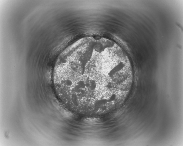 X0000100230065200806271759