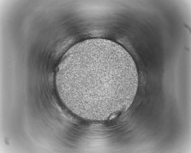 X0000100230066200806271759