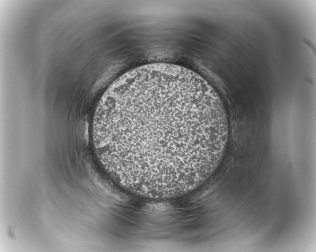 X0000100230067200806271759
