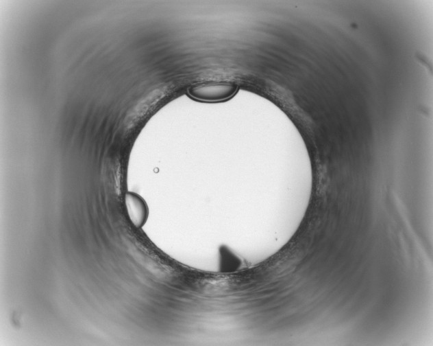 X0000100230068200806271759