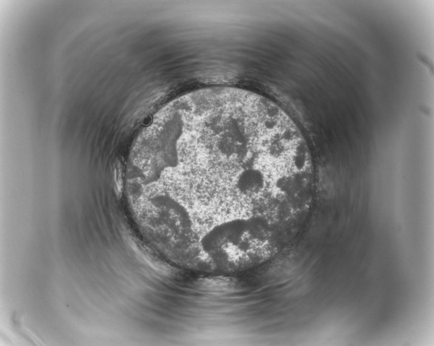 X0000100230069200806271759