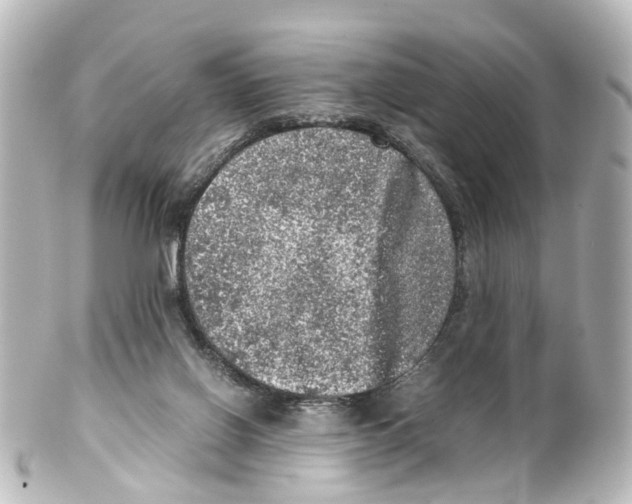 X0000100230070200806271759