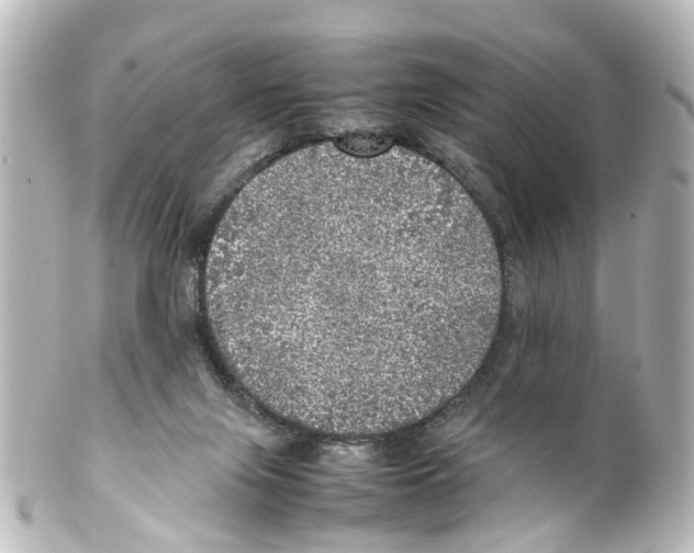 X0000100230071200806271759