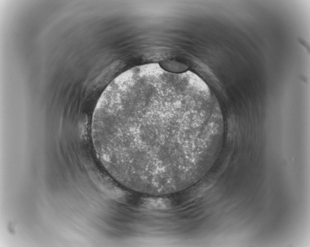 X0000100230073200806271800