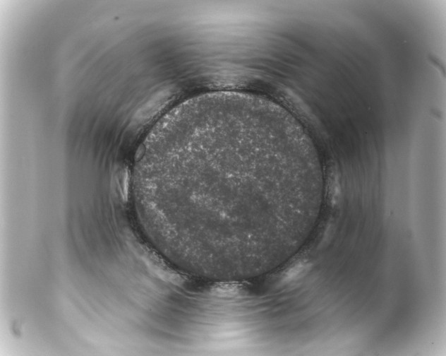 X0000100230076200806271800