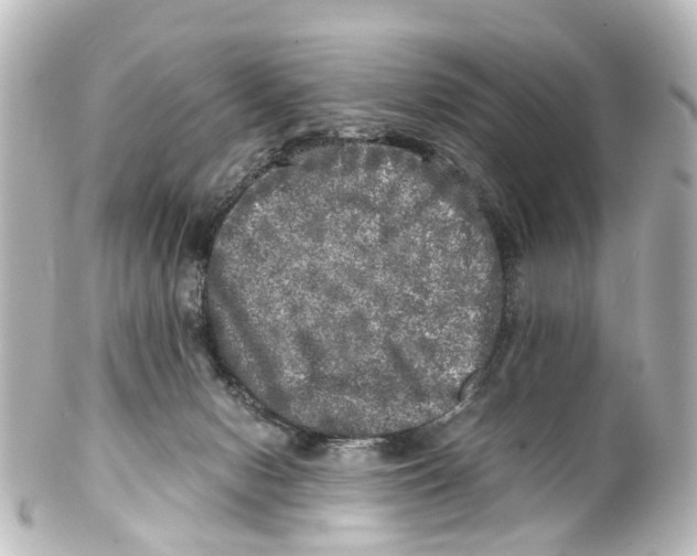 X0000100230078200806271800