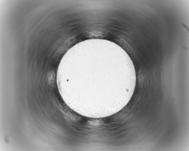 X0000100230079200806271800