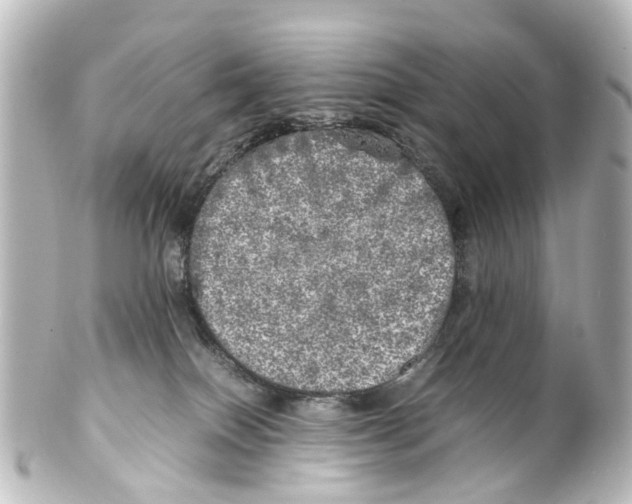 X0000100230086200806271800