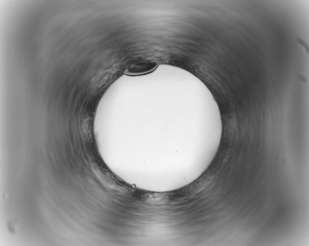 X0000100230088200806271800