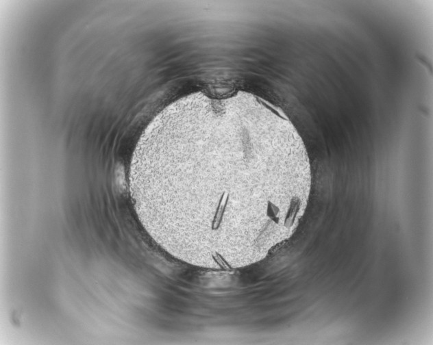 X0000100230089200806271800