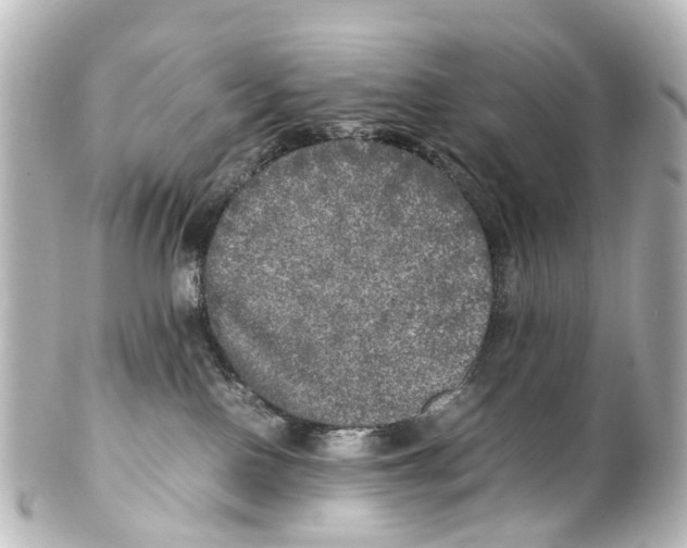 X0000100230090200806271800