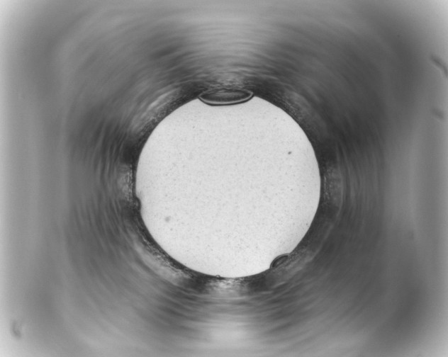 X0000100230092200806271800