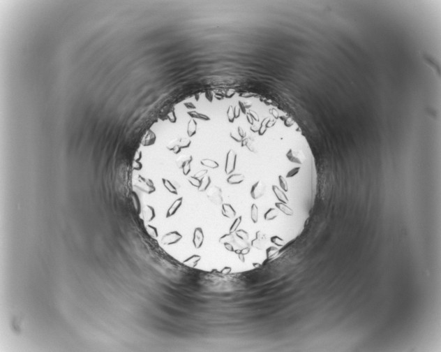 X0000100230093200806271800