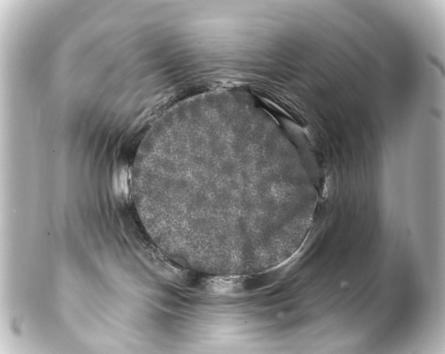 X0000100230094200806271800