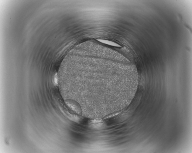 X0000100230095200806271800