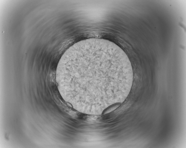 X0000100230096200806271800