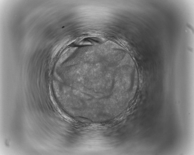 X0000100230097200806271759