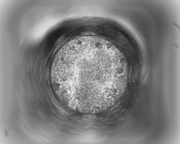 X0000100230099200806271759
