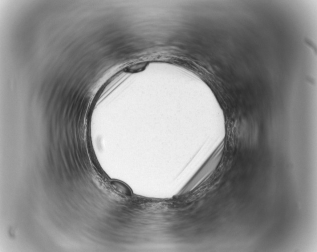 X0000100230100200806271759