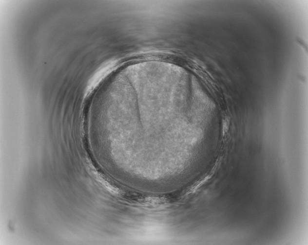 X0000100230101200806271759