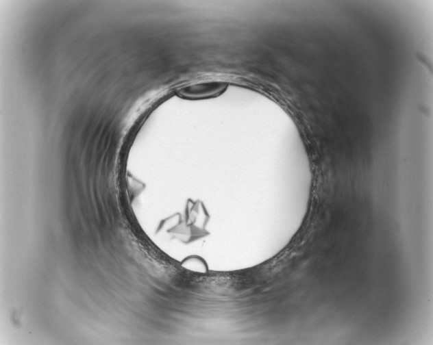 X0000100230104200806271759