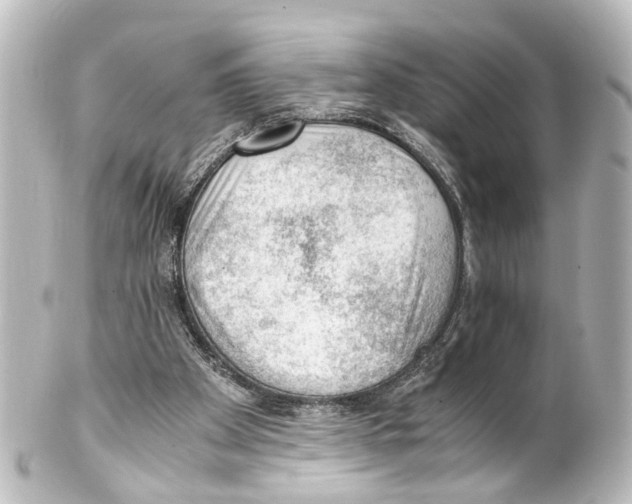 X0000100230105200806271759