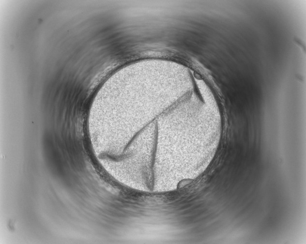 X0000100230106200806271759