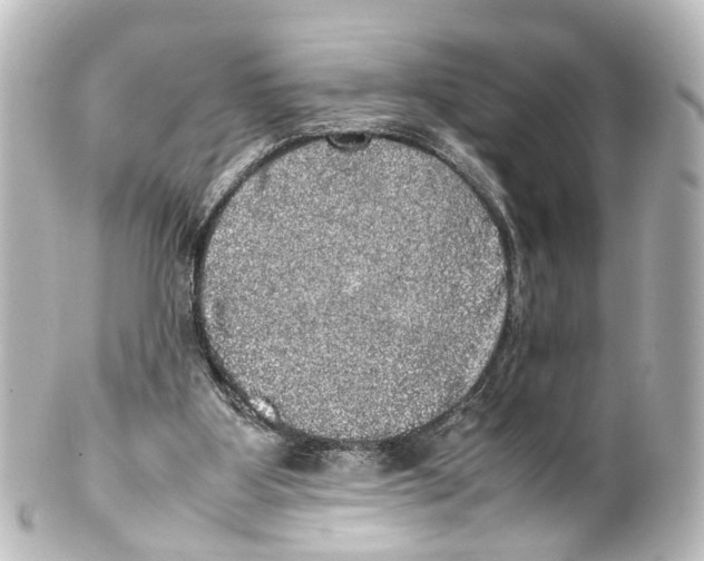 X0000100230107200806271759