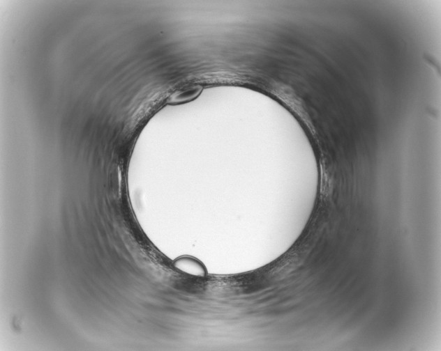 X0000100230109200806271759