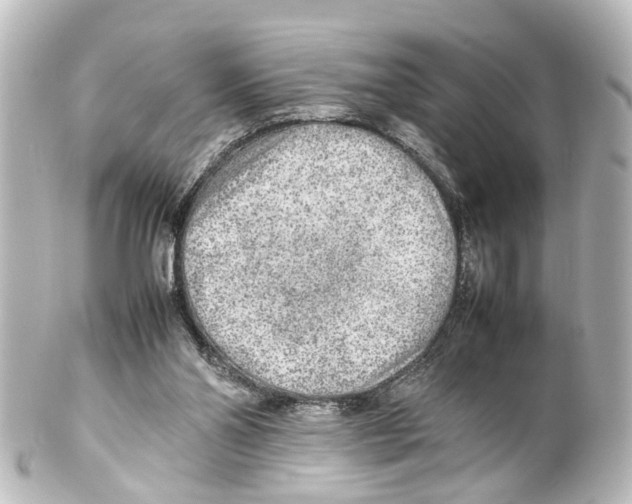 X0000100230110200806271759